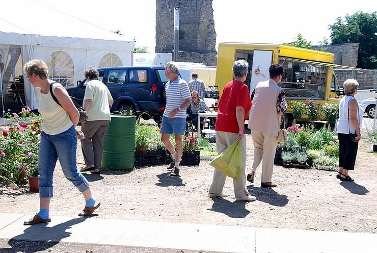 Rosenfest auf dem Nordh&auml;user Petersberg