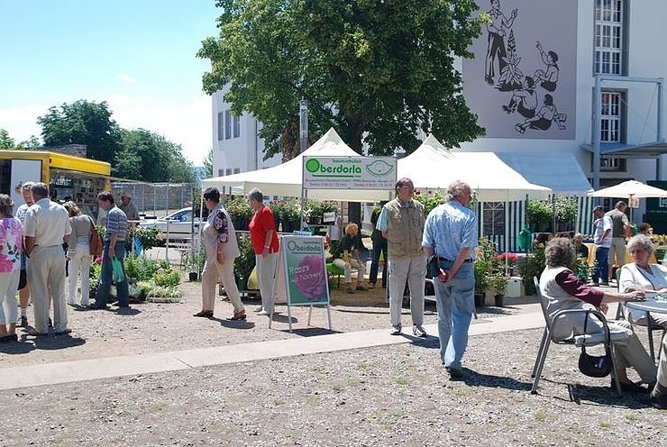 Rosenfest auf dem Nordh&auml;user Petersberg