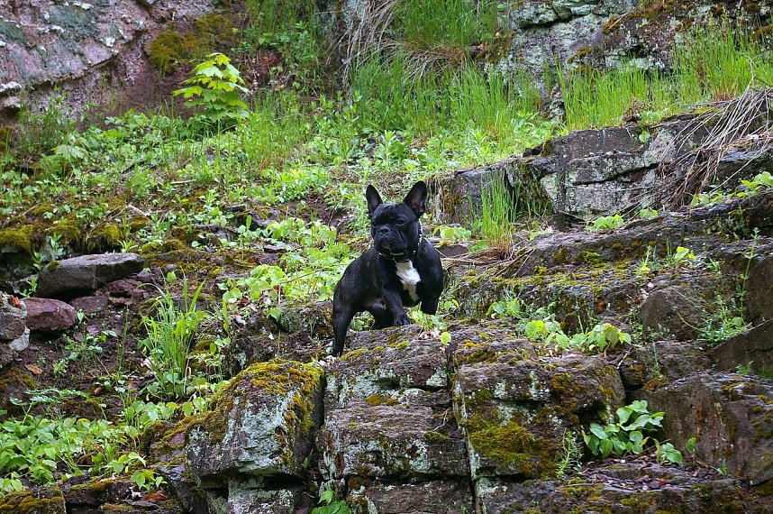 Auf nach M&uuml;hlhausen