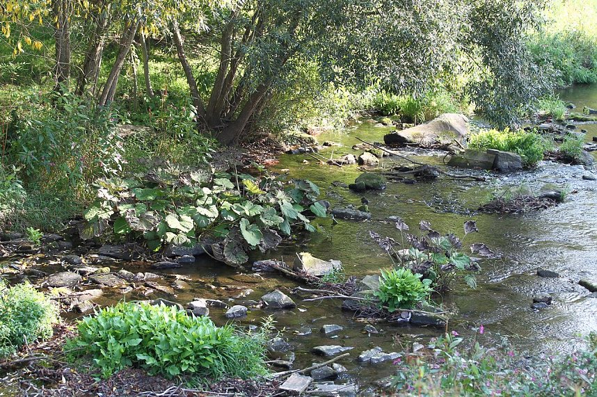 Zorgepegel: 5 Zentimeter