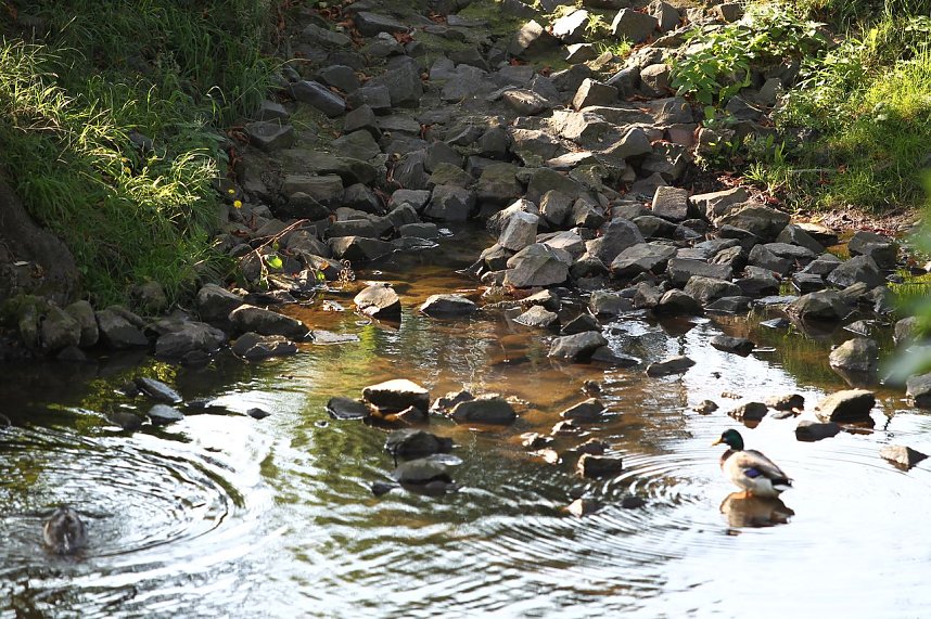 Zorgepegel: 5 Zentimeter