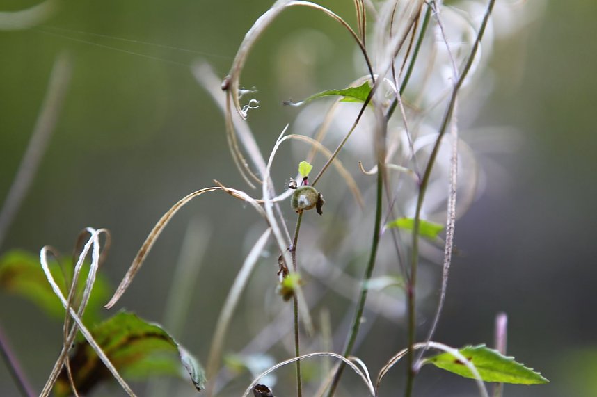 Auf dem Weg zum Braunsteinhaus