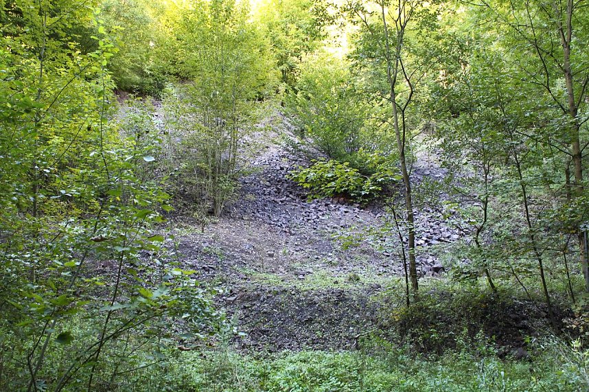 Auf dem Weg zum Braunsteinhaus