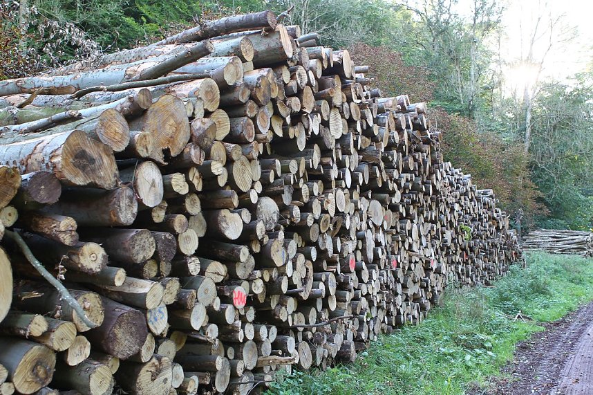 Auf dem Weg zum Braunsteinhaus