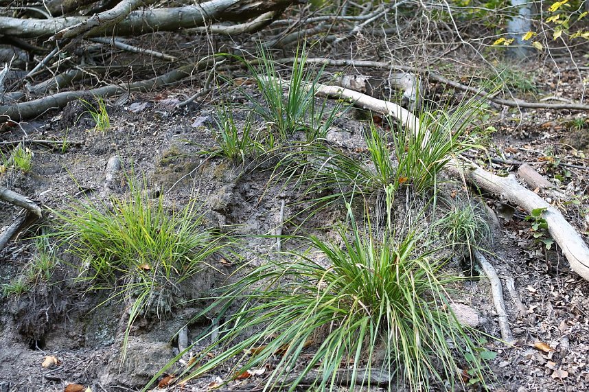 Auf dem Weg zum Braunsteinhaus