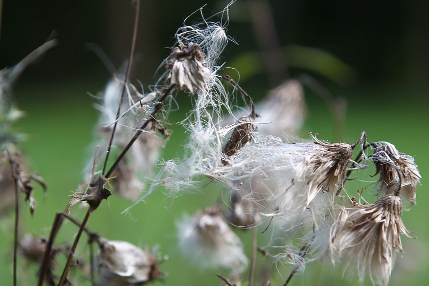Auf dem Weg zum Braunsteinhaus