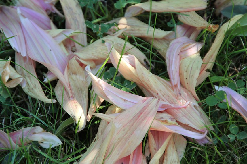 Der Herbst k&uuml;ndigt sich an