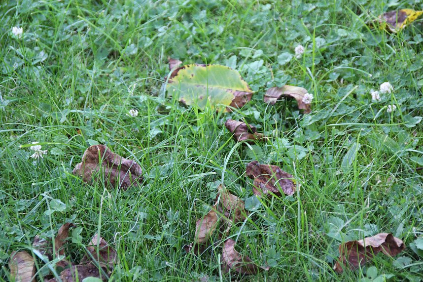 Der Herbst k&uuml;ndigt sich an