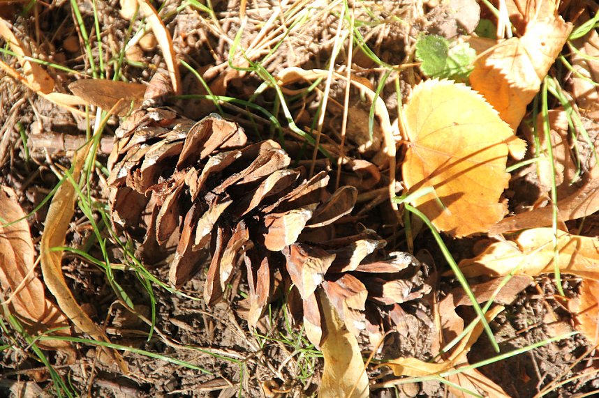 Der Herbst k&uuml;ndigt sich an