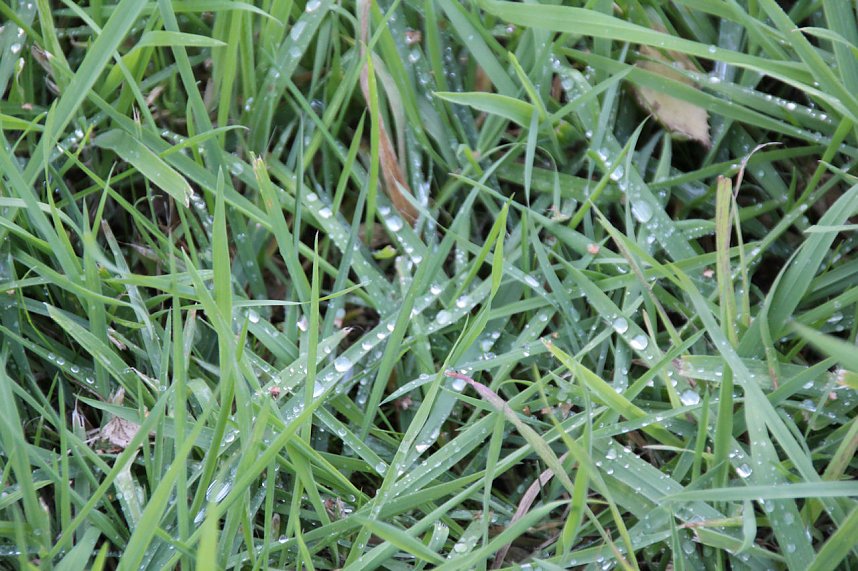 Der Herbst k&uuml;ndigt sich an