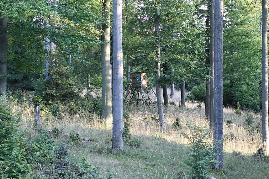 Erst f&uuml;ttern, dann abschie&szlig;en