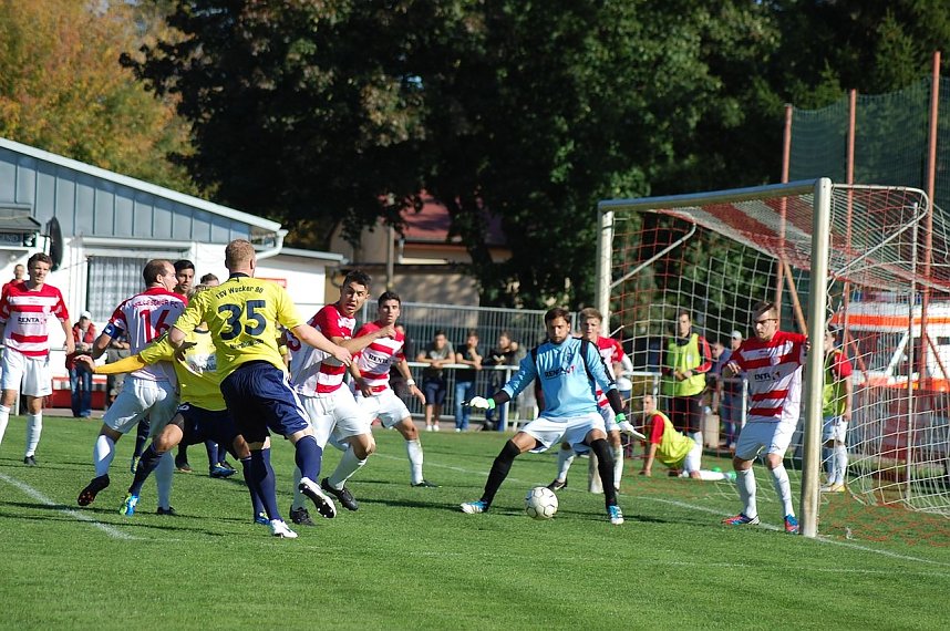 Verdienter Sieg in Halle 