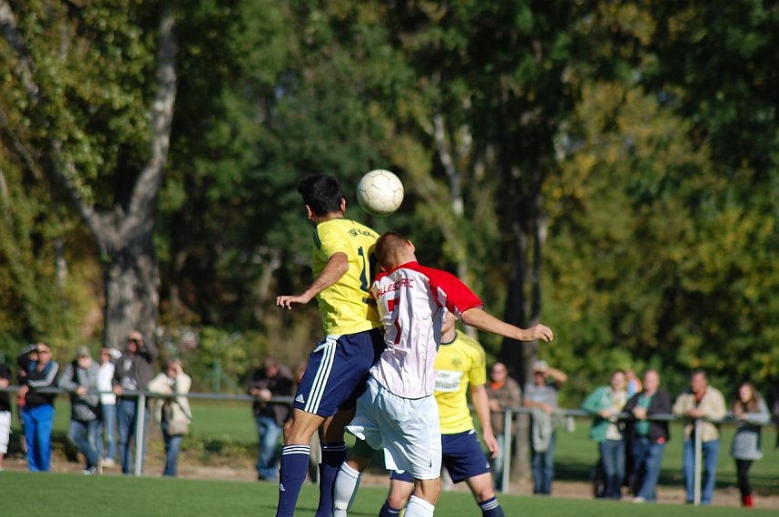 Verdienter Sieg in Halle 