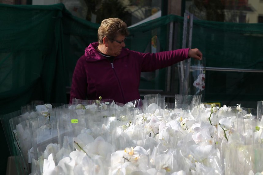 K&uuml;rbis- und Zwiebelmarkt