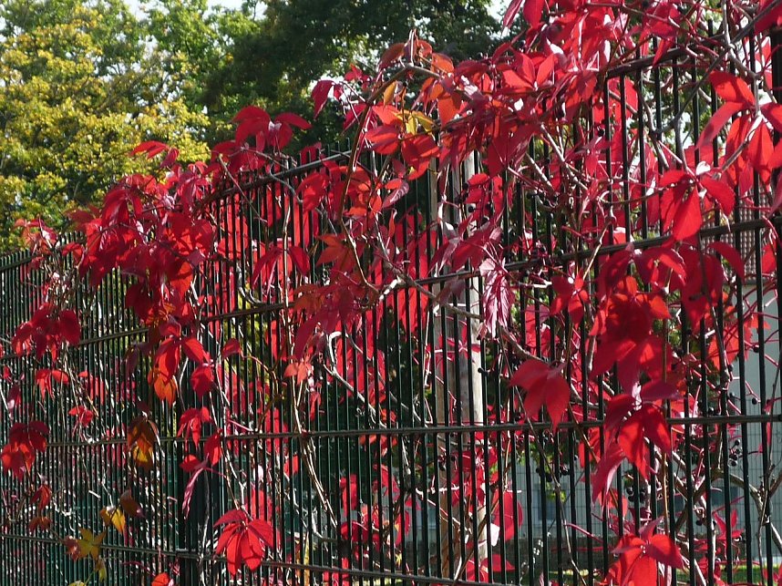 Herbstliches in Nordhausen