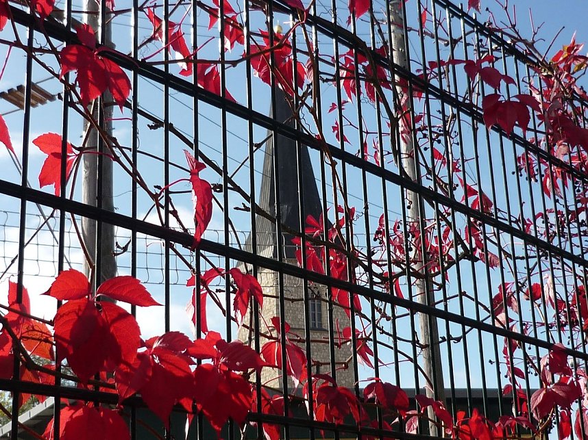 Herbstliches in Nordhausen