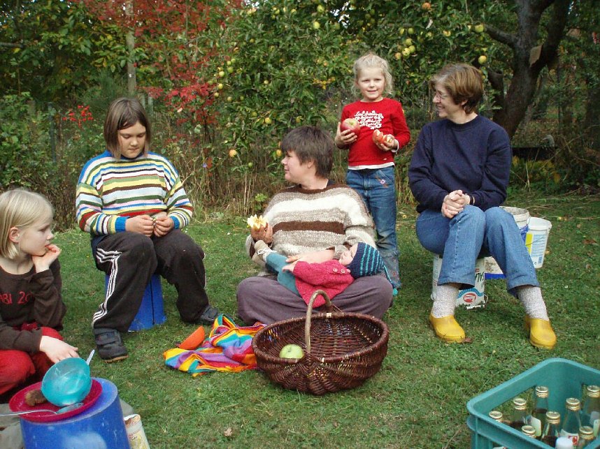 Mus aus &Auml;pfeln kochen