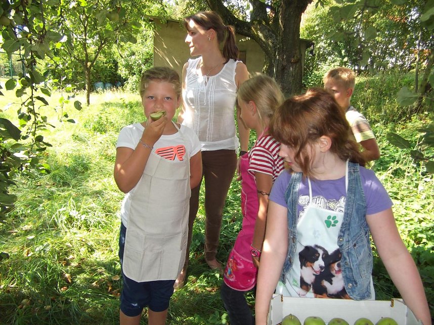 Von der Hand in den Mund