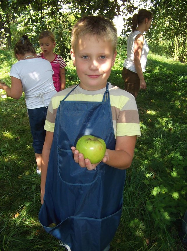 Von der Hand in den Mund