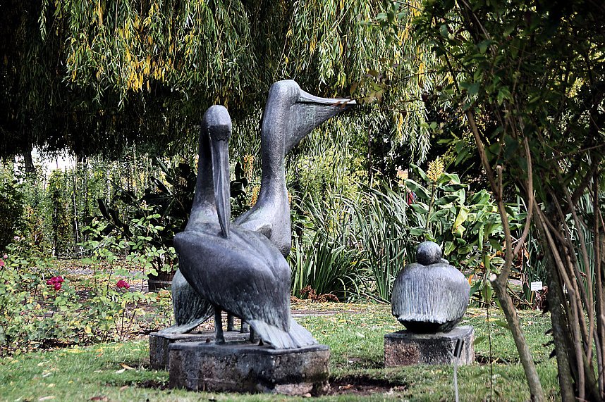 Rosen &uuml;ber Rosen