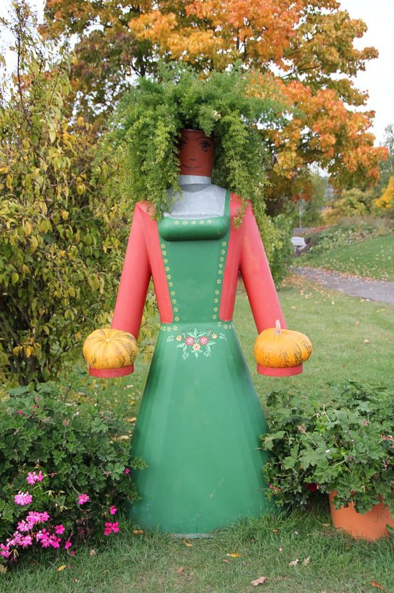 Rosen &uuml;ber Rosen