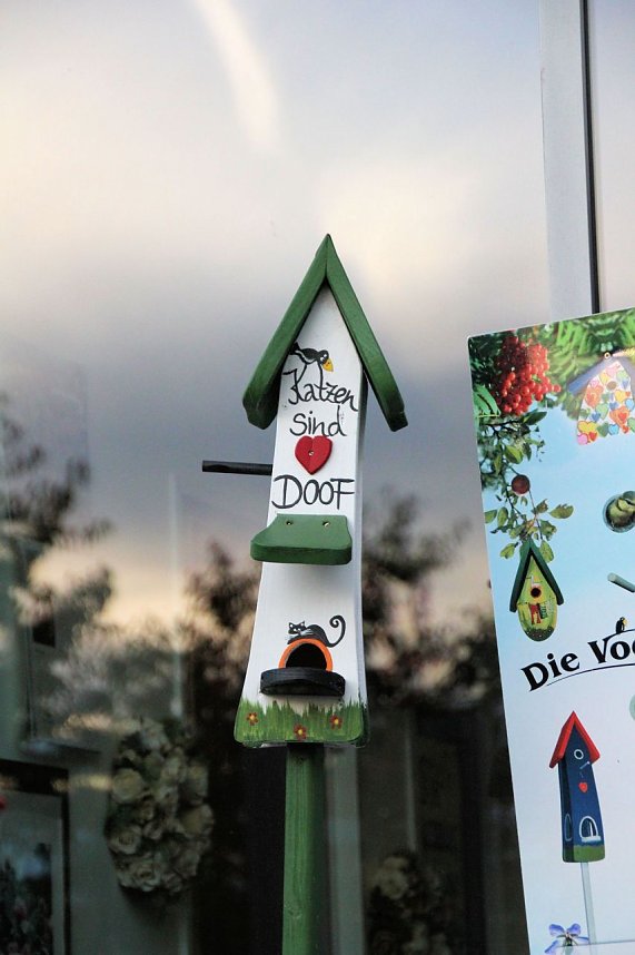 Rosen &uuml;ber Rosen