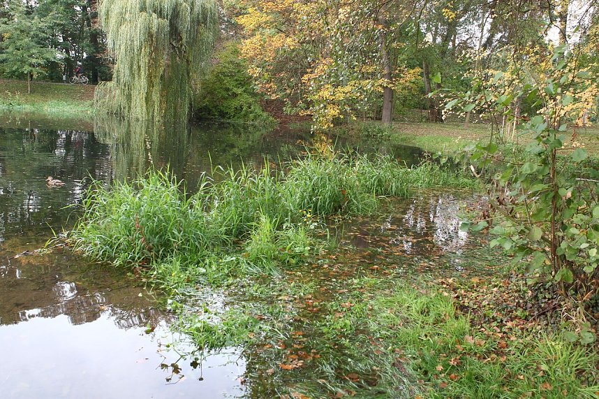 Steg unter im Stadtpark