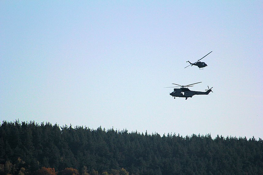 Kraniche am Stausee Kelbra