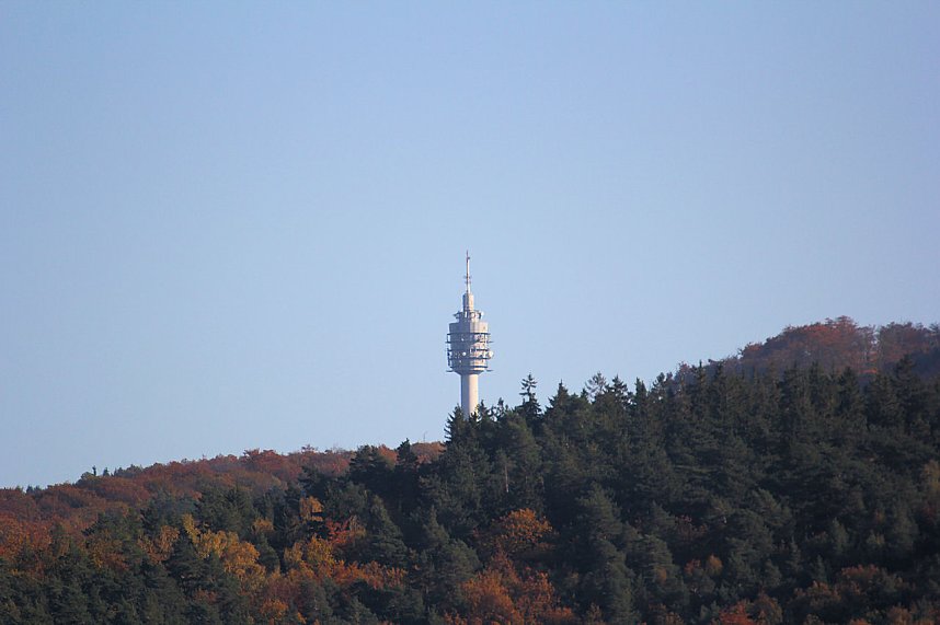 Kraniche am Stausee Kelbra