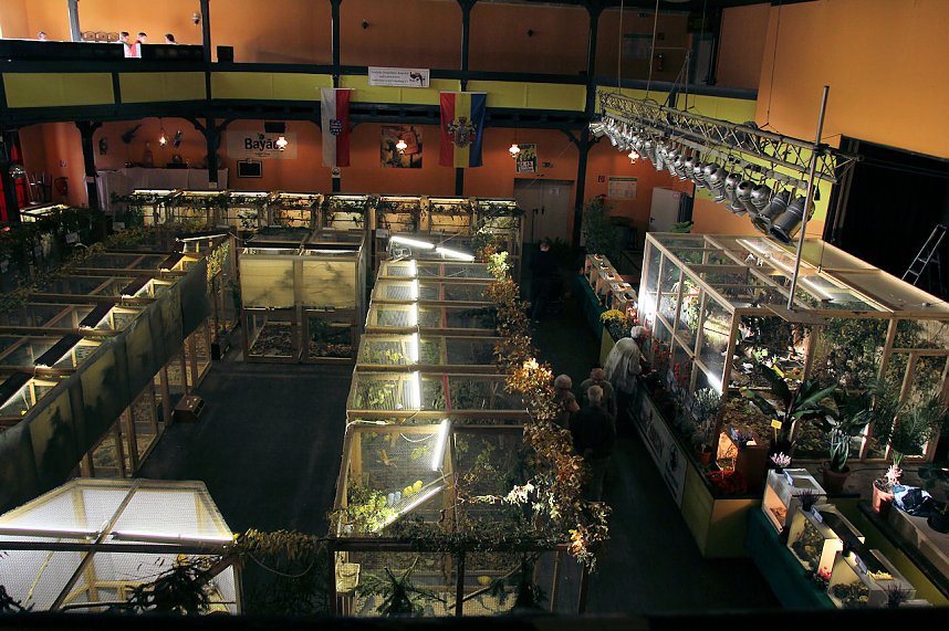 Gefiedertes in Sondershausen