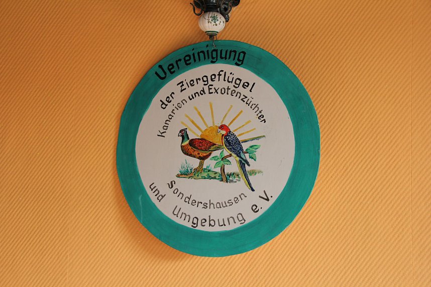 Gefiedertes in Sondershausen