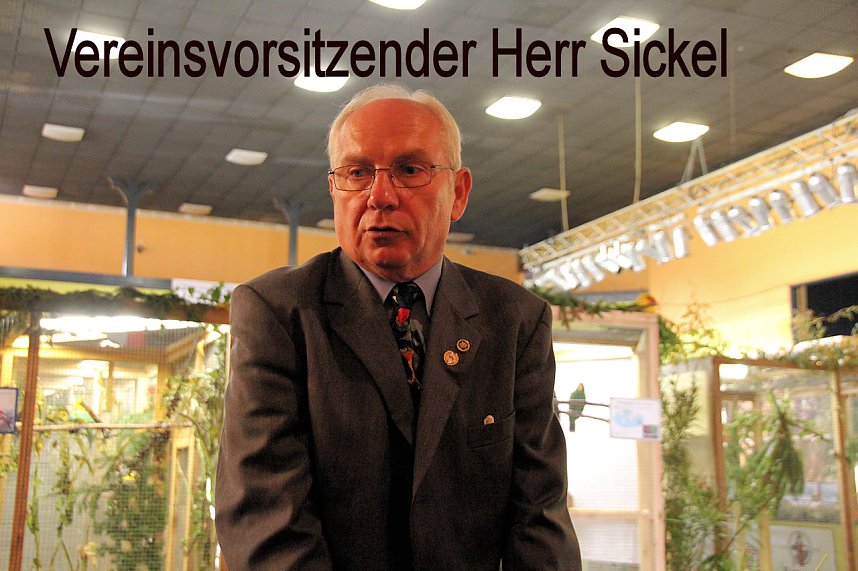 Gefiedertes in Sondershausen