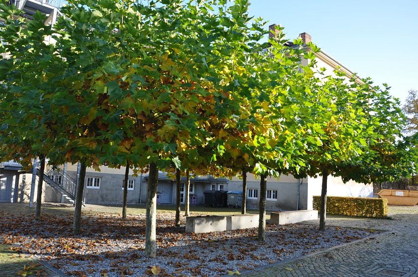 Sonniger Sonntag in Nordhausen