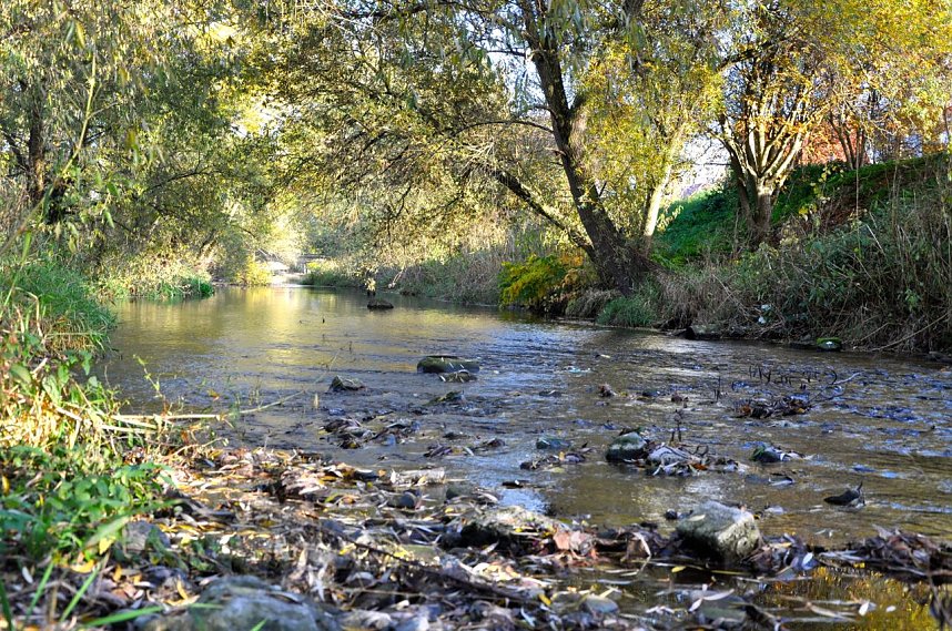 Sonniger Sonntag in Nordhausen