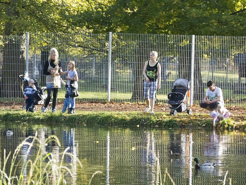 Goldener Herbst im Nordh&auml;user Stadtpark
