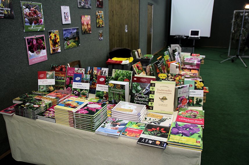 Orchideen in Nordhausen