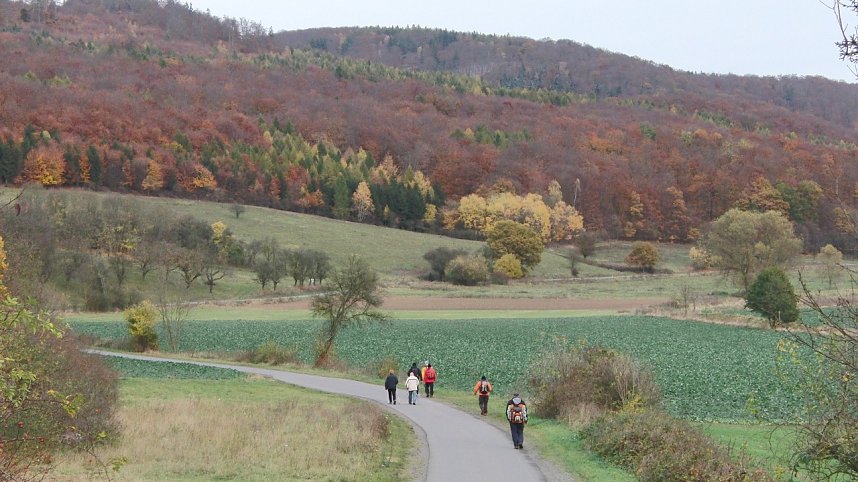 Von Nordhausen nach Halle