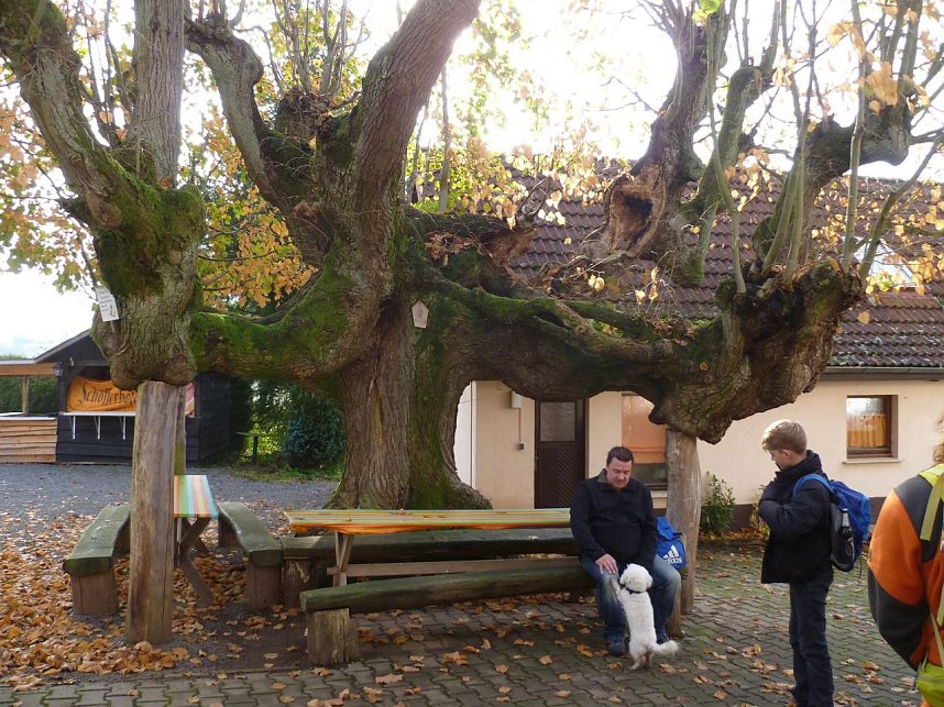 "Wandertag" der Doppelk&ouml;rner