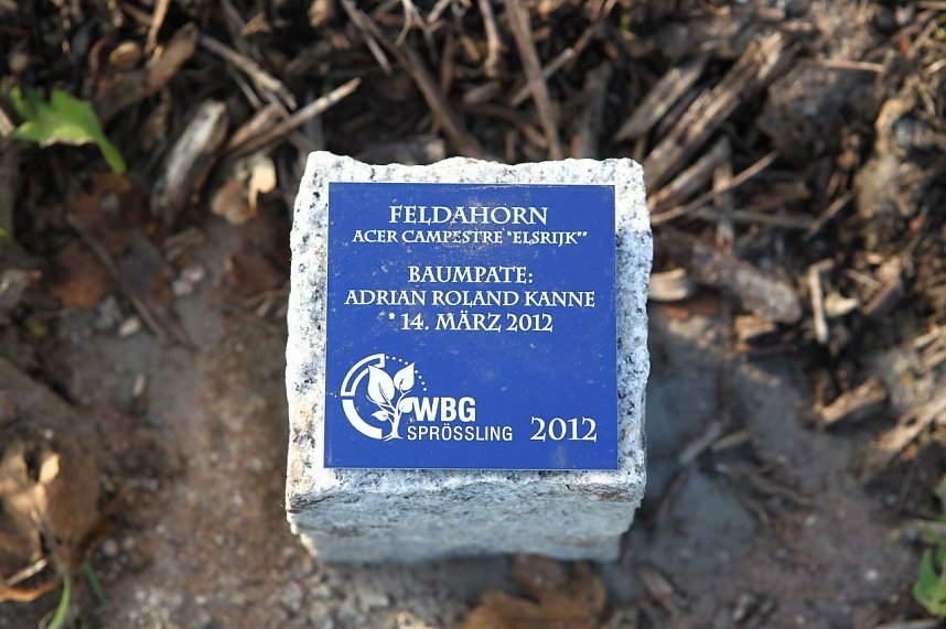 Spr&ouml;sslinge f&uuml;r neue Genossenschaftsmitglieder