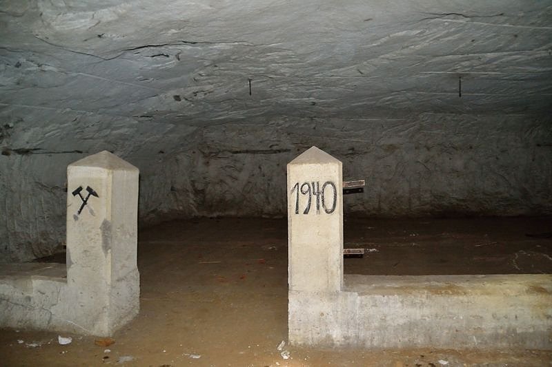 F&uuml;r die Ewigkeit konserviert