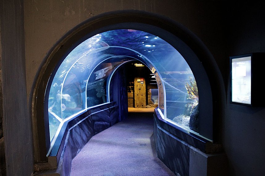 nnz-Leser in Berlin unterwegs: Aqua Dom und Sea Life