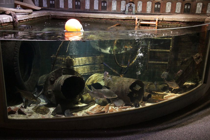 nnz-Leser in Berlin unterwegs: Aqua Dom und Sea Life