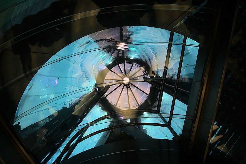 nnz-Leser in Berlin unterwegs: Aqua Dom und Sea Life