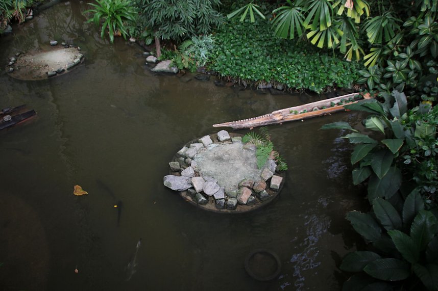 Tropischer Abstecher