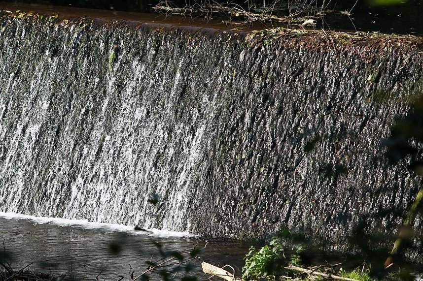 Wehr im Stadtpark im September