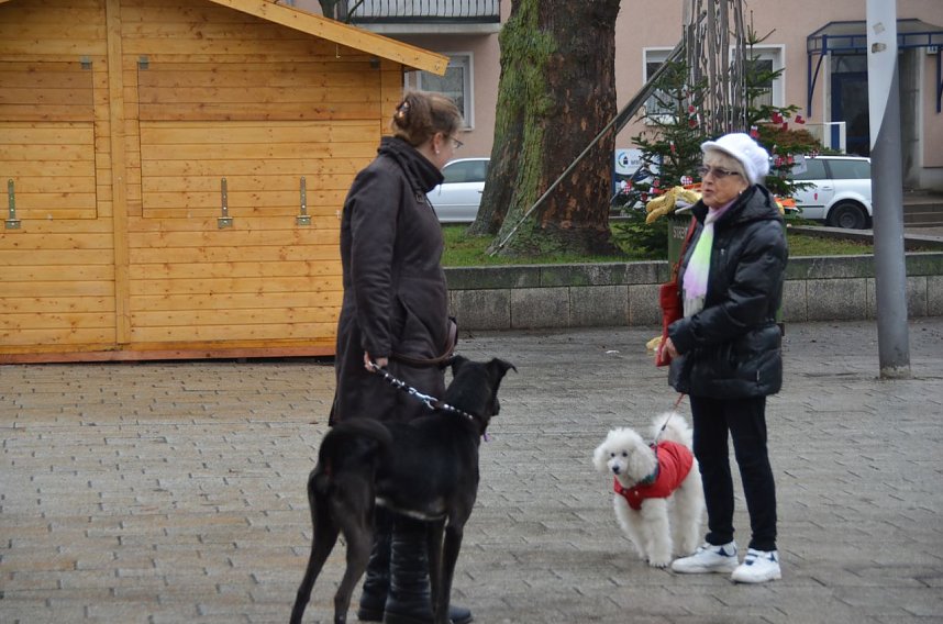 Adventskalender 24.T&uuml;rchen