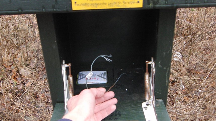 Besch&auml;digte Stempel