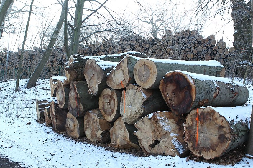 Kahlschlag im Gehege?