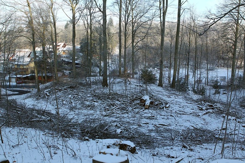 Kahlschlag im Gehege?