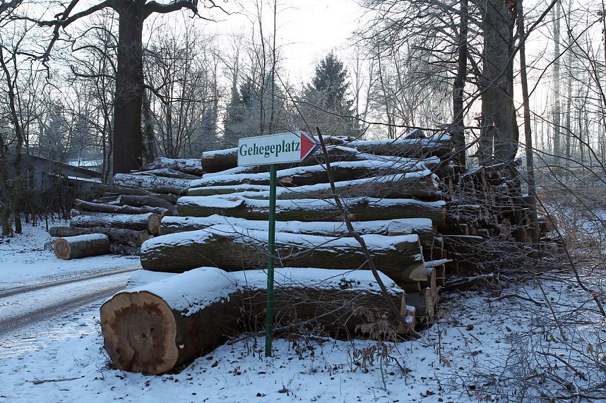 Kahlschlag im Gehege?